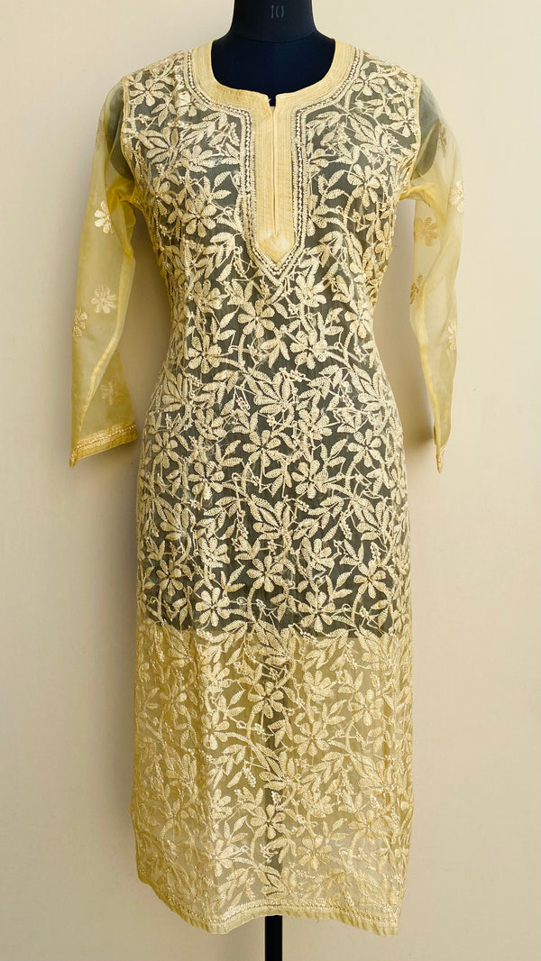 Lucknowi Chikankari Kurti Beige Organza with Self work