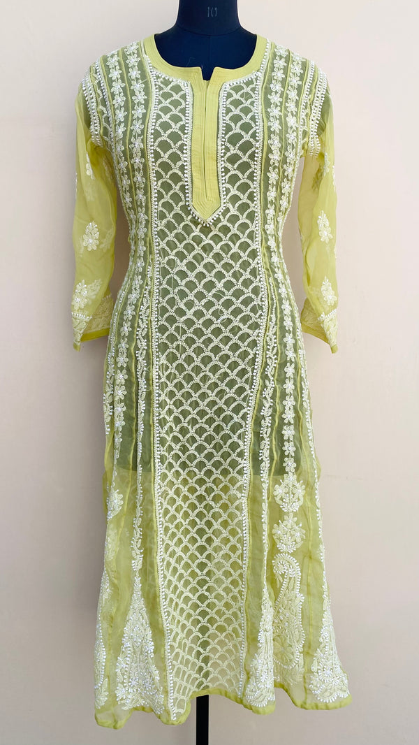 Lucknowi Chikankari Anarkali Kurti Mehandi Green Georgette