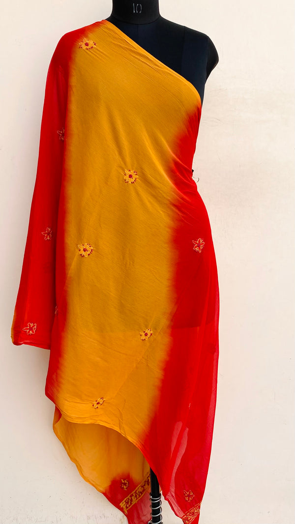 Lucknowi Chikankari Dupatta Multicolour Chiffon